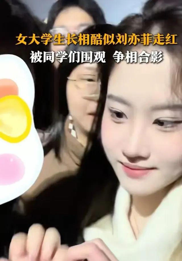 刘亦菲式美貌效应，女大学生广告邀约不断