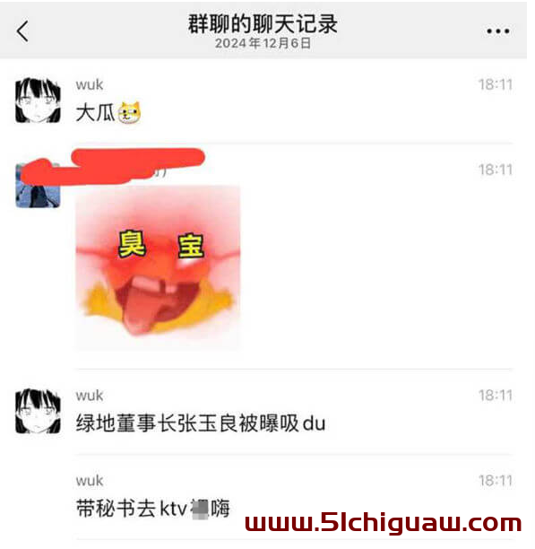 张玉良事件：绿地集团如何应对网络传闻